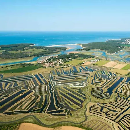 Maison 3 Personnes Dans Village Atypique Talmont-Saint-Hilaire