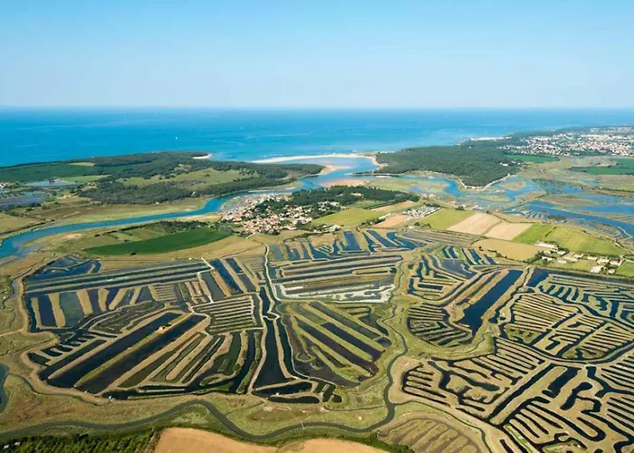 Maison 3 Personnes Dans Village Atypique Talmont-Saint-Hilaire